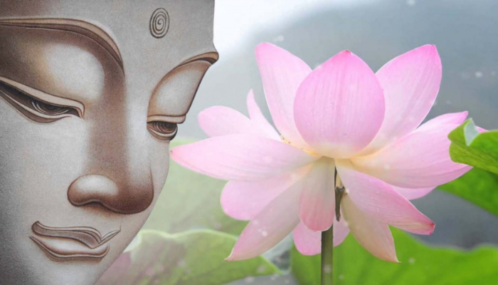 Truyền thuyết và ý nghĩa của hoa sen trong Phật giáo
