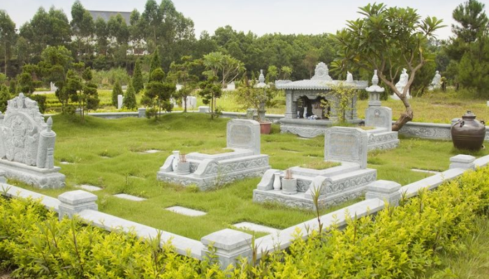 Nen chon chon cat hay hoa tang cho nguoi da mat
